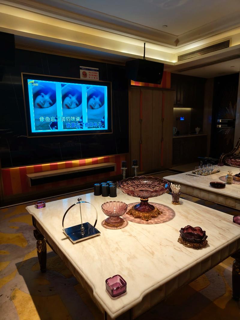 哈尔滨商务ktv创新商务ktv模式揭秘-道里区ktv预订